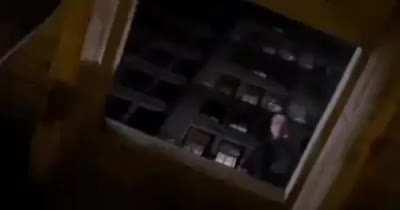 El humor no envejece, evoluciona.