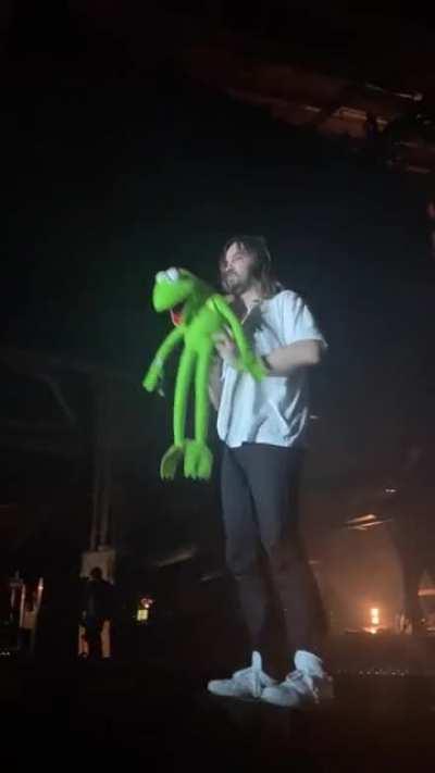 rip kermit