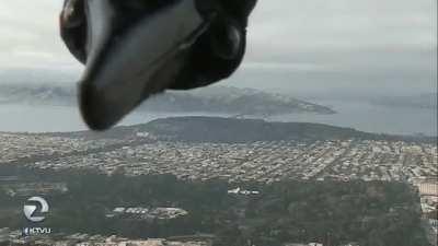 Crow interupts weather broadcast