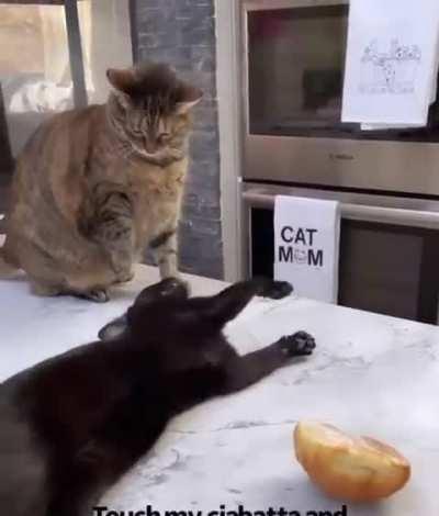 My two states of mind in one video