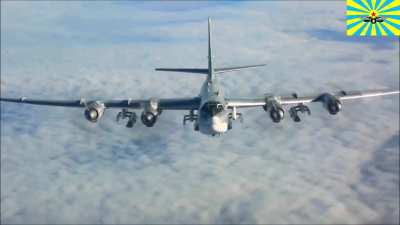 '''Don't Poke the Bear'?!...Why? What're they gonna do, 'release the Bears'?... Bears with Missiles in their mouths? ...So that when they Roar, they shoot Missiles at me?... I'd like to see THAT!'' [Tu-95]