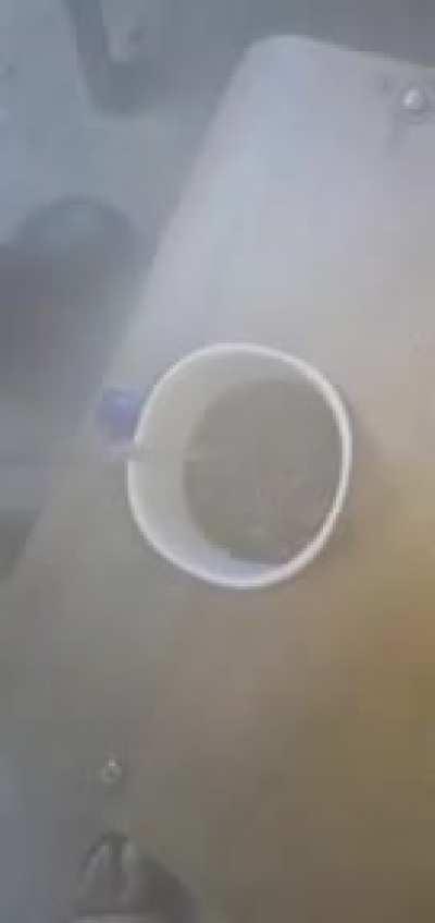 Call Pest Control? Nah, we can handle it.