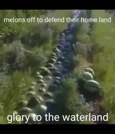 Reinforcements head to the front via irrigation ditch (1944 Melonized)