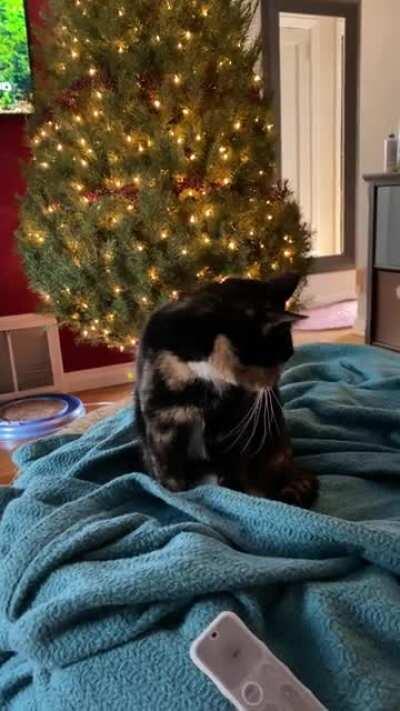 Well, well, well...if it isn’t the consequences of your own actions! #letmetrimyourclaws