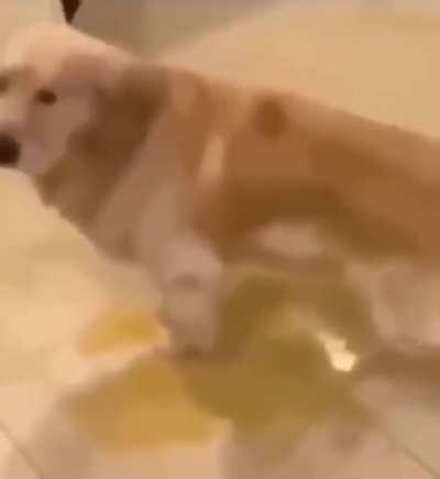 their one of a kind alright