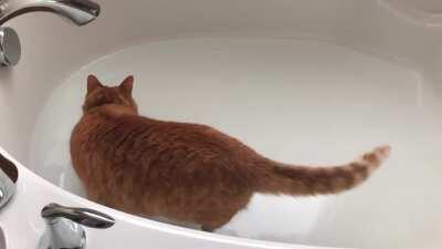 Afraid of pirate ships but not 💦 water 💦?