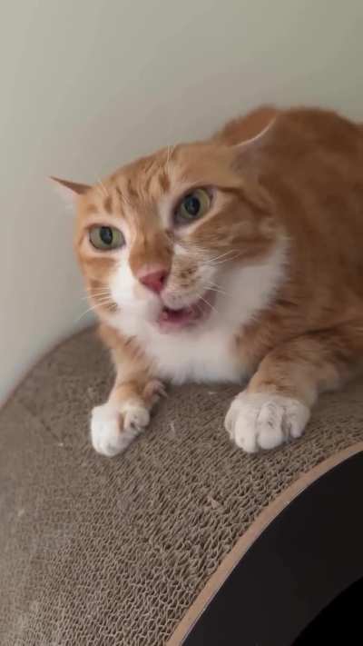 She’s actually too Wunky to be real 😭😭