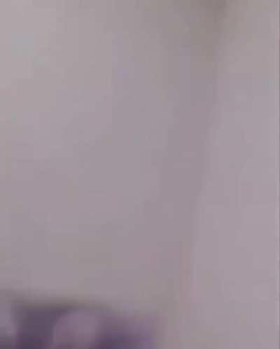 Meow is totally mesmerized