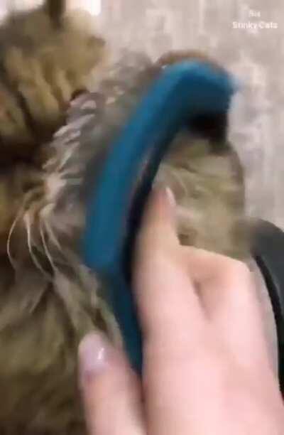 No one Touches -Cecil's hair-