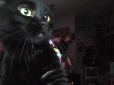 The star of the program...