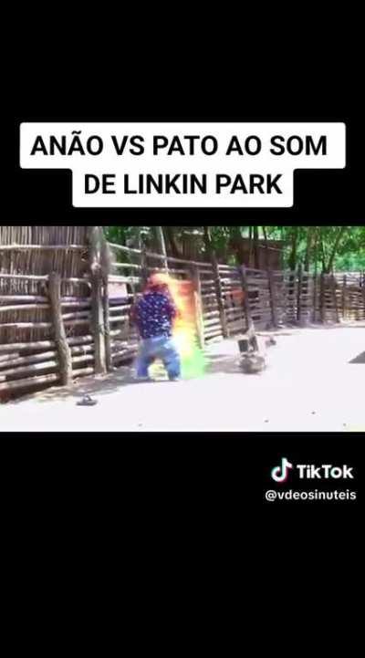 Juntaram as duas melhores rinhas