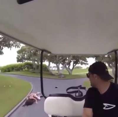 Golf cart mishap