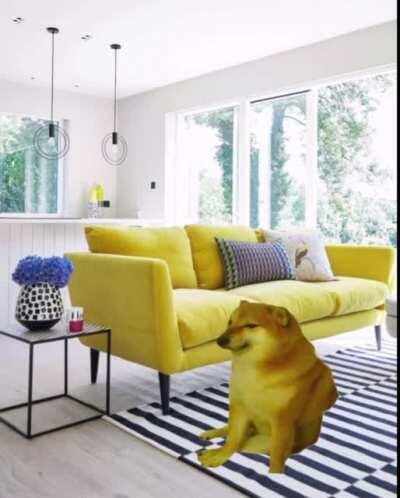 Le Pray 5 Times A Day