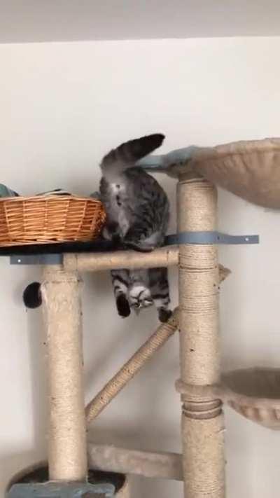 It's clear, he has done this before. Pro