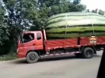 Erdogan's ultimate weapon arrived.