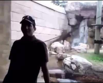 Ultimate Monki Flip !