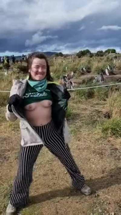 I’ve flashed so many humans I thought I would branch out to penguins! 😆 [GIF]