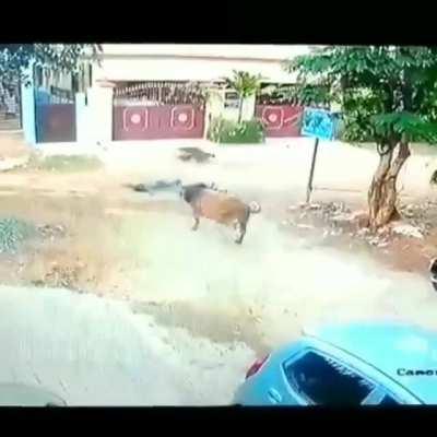 HMFT after not looking both ways