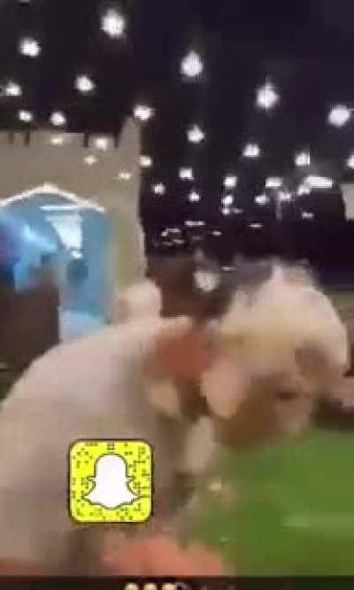 This guy throwing his smartphone away because he thought he got a brand new iPhone