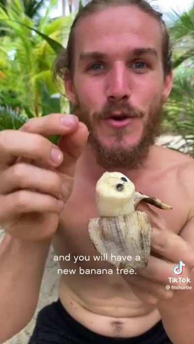 Potatoes, Melons, Pineapple & Bananas even the ones you know & call organic have been modified long ago - For centuries yall just didnt know