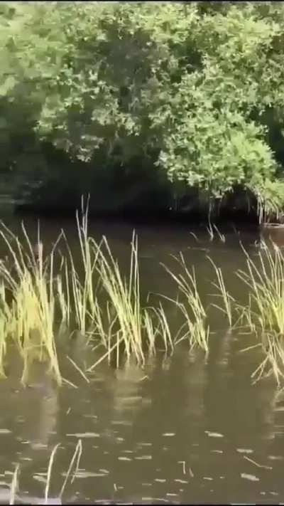 The river doesn't ask it just takes