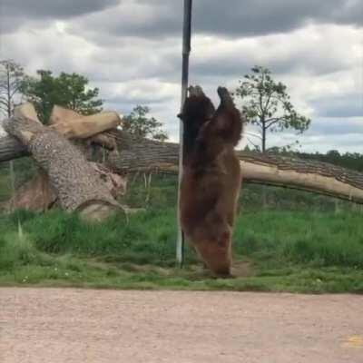 Хорошего дня всем!!!!)