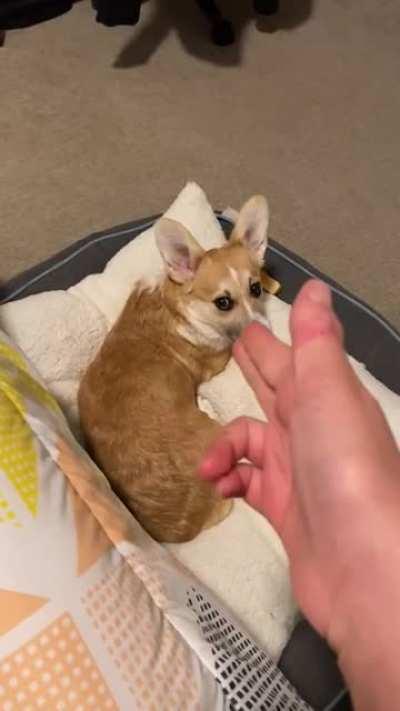 Just minding my own business... oh dang you got me!