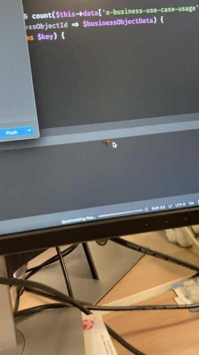 This spider has been following my mouse pointer for the last few hours