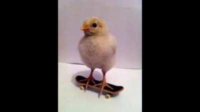 homenagem pinto de skate