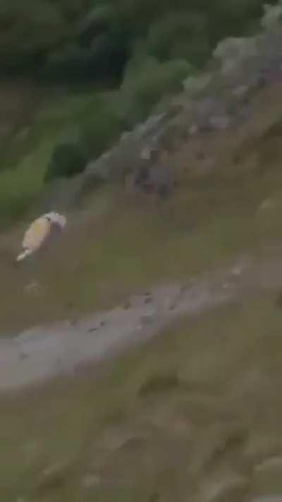 Mountain Biking goes horribly wrong