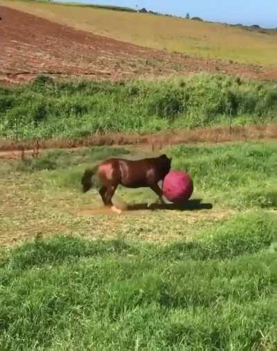 expected to transfer