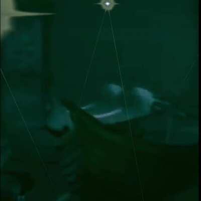 Party in the Aqueduct