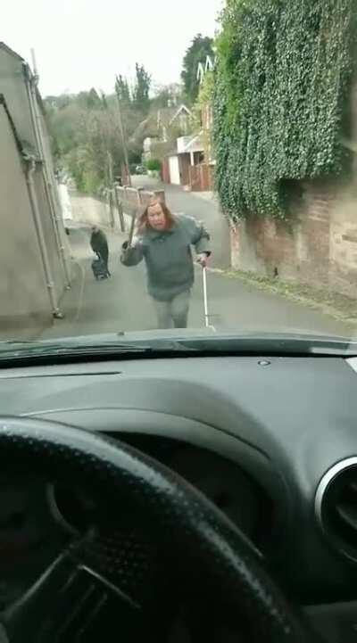 Woman refuses to move for car, driver beeps horn...... And then this