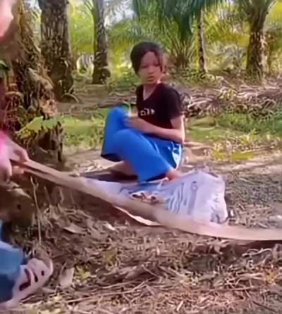 Busy With Morning Chores