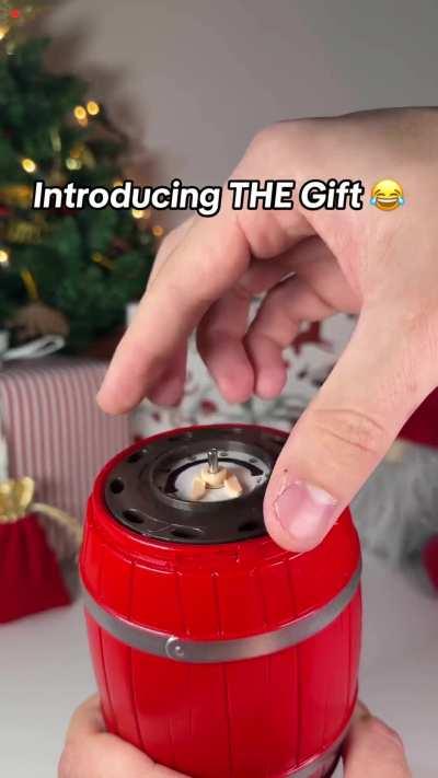 Ideal gift for Christmas