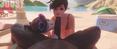 beach time with tracer and dva (TheThreeDust)