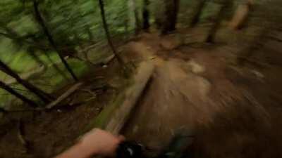 some sketch on blackcomb mountain