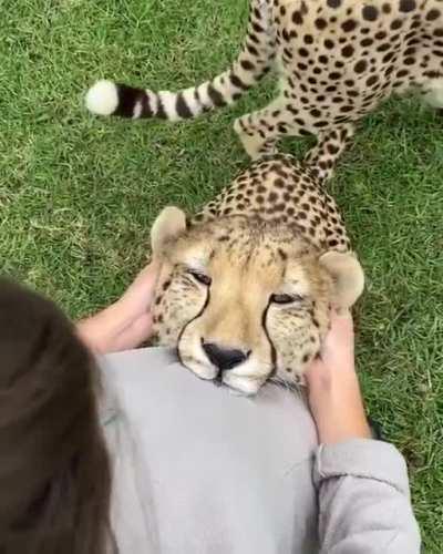 Want to be more closer... I love you