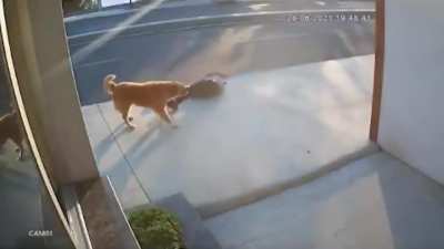 De quién es la culpa?