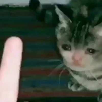 pampampampampaaaammpammmm