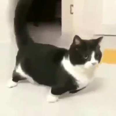 The Person Who escaped Afganistan through us plane be like