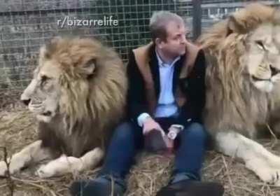 Even the lions don’t mess with Russians