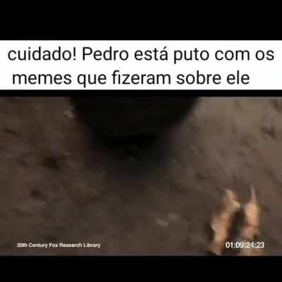 Deixem o Pedro em paz