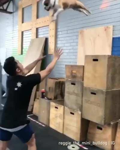 brighten your Wednesday