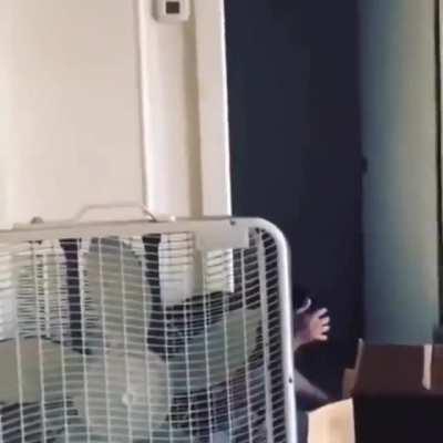 bro took a second to realize he was alive