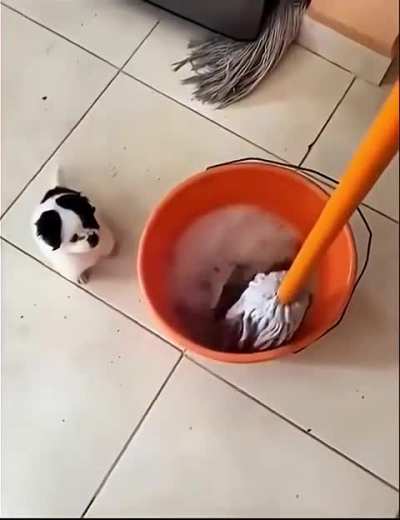 I Am Here To Help Mommy To The Best Of My Abilities