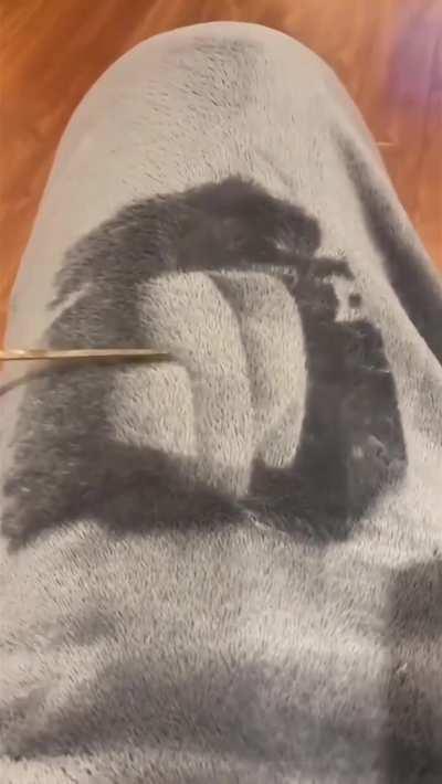 Guy draws complex portraits on his sweatpants