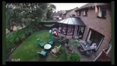 Insane Brimstone Molly Lineup