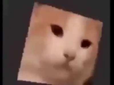 Good to see the Home of Awesome is back :)