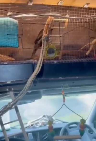 I'm very much done, let me inside now!